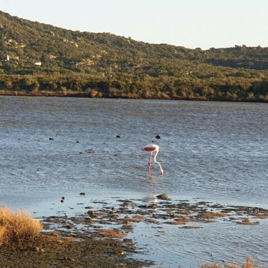 Appartamento Vasiliki Porto San Paolo  Eksteriør bilde