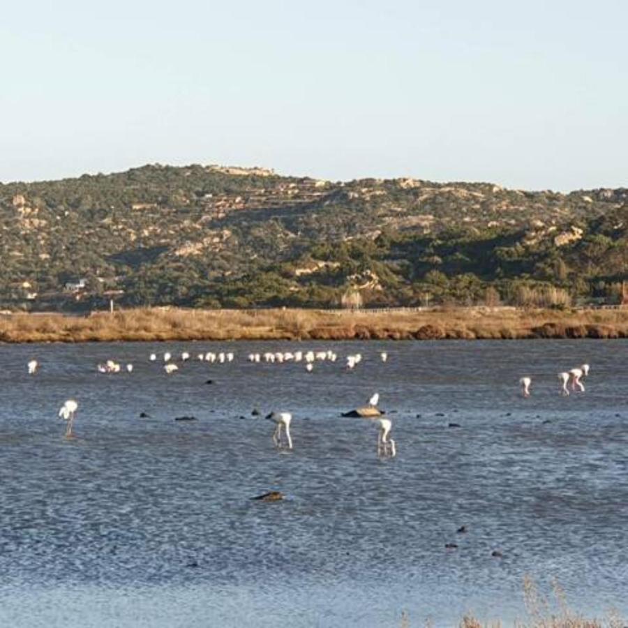 Appartamento Vasiliki Porto San Paolo  Eksteriør bilde
