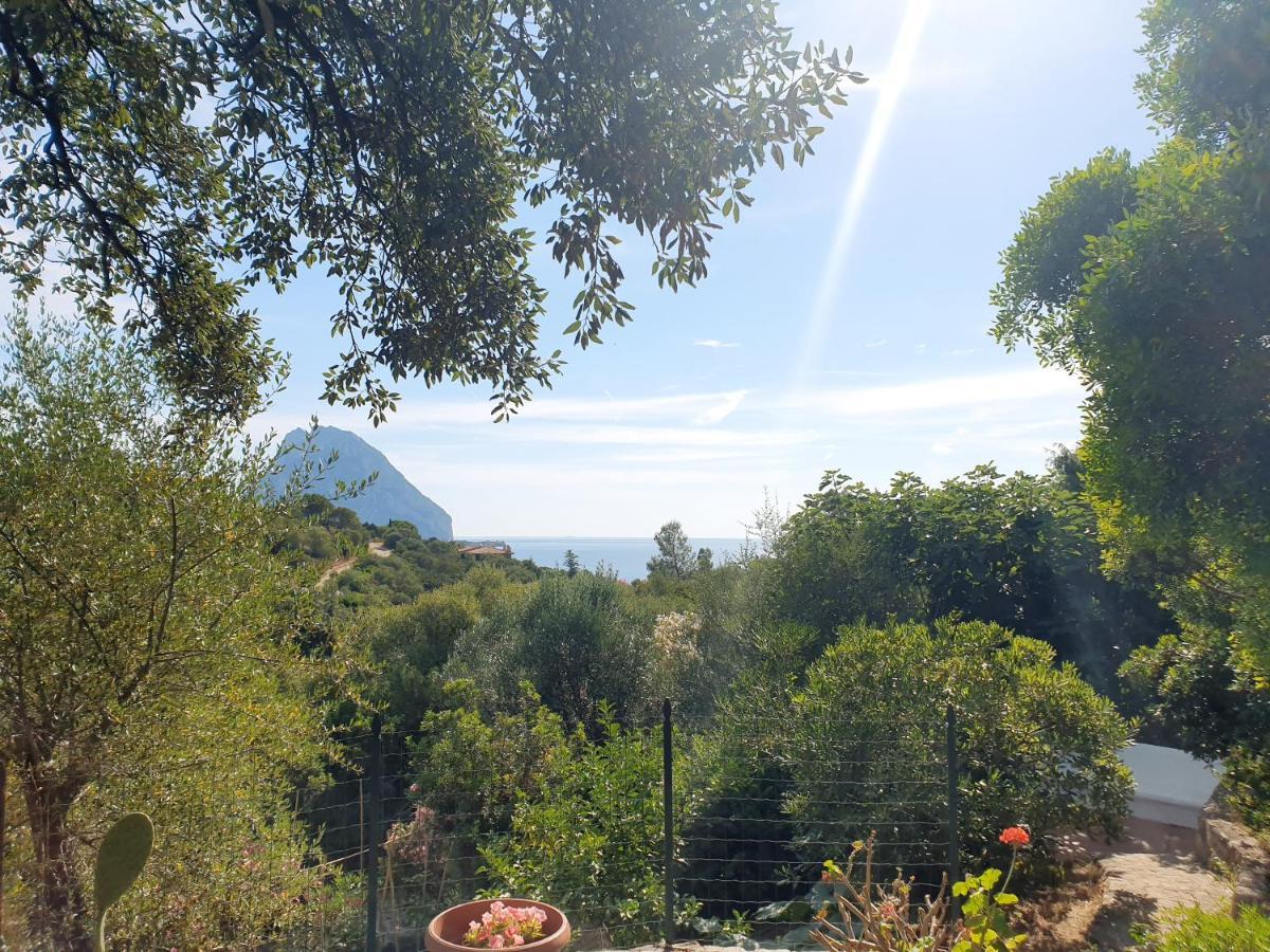 Appartamento Vasiliki Porto San Paolo  Eksteriør bilde