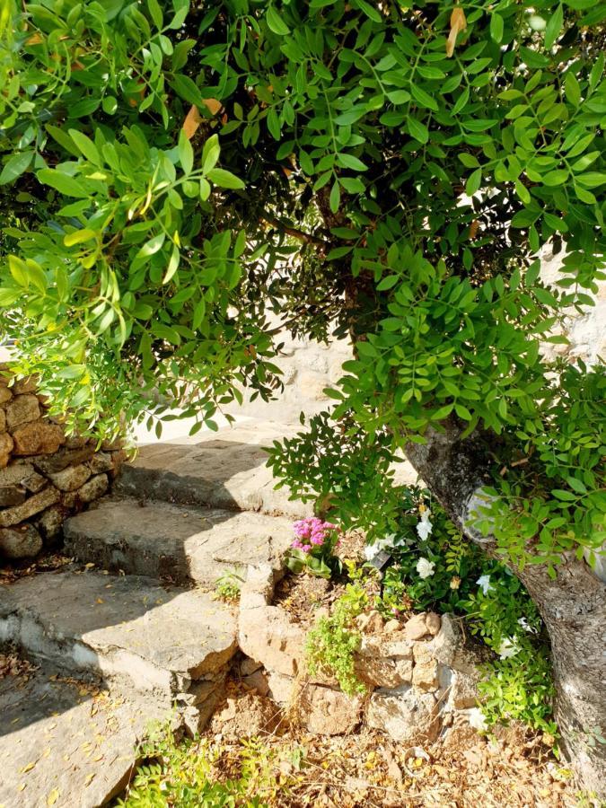 Appartamento Vasiliki Porto San Paolo  Eksteriør bilde